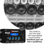 Taramp's Pro 2.4S DSP Crossover full Digital Signal Processor and Equalizer with sequencer 15-band Graphic Equalization 12 preset EQ 2-Channel in and 4-Channel Out