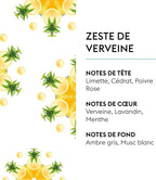 Car Diffuser Refill Set, Zest of Verbena | Lime Verbena Mint Notes, 2 Ceramic Inserts, Fits Vent Clips, 4-Week Diffusion, Made in France