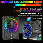 Upgrade1600W Under Seat Subwoofer | 10" Slim Car Sub with Built-in Amp, RGB LED Lights, APP Control | Independent Bass Knob, LPF, Gain, Bass Boost | High Output Deep Bass Distortion-Free Audio