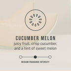 Rubbermaid Commercial Products Passive Air Care CirculAir 90 Melon