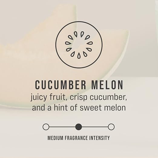 Rubbermaid Commercial Products Passive Air Care CirculAir 90 Melon
