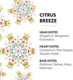 Car Diffuser Refill Set, Citrus Breeze | Grapefruit Bergamot Vetiver Notes, 2 Ceramic Inserts, Fits Vent Clips, 4-Week Diffusion, Made in France
