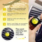 Car Air Fresheners, Vanilla, 6-Pack, 4ml Each, Odor Eliminator