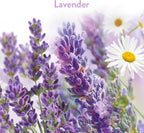 Stick Ups Air Freshener, Lavender & Chamomile | 2-Count | Pack of 2