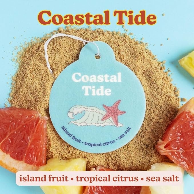 Summer Mix Car Charms 4-Pack Included Scents: Coastal Tide, Bronzed Coconut, Tropical Citrus, Florence
