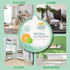 Solid Air Freshener (Pack of 4)