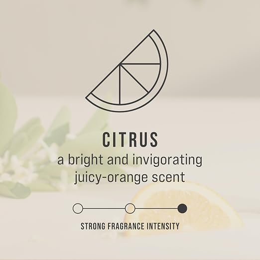 TCell Air Freshener Refill Citrus Odor Neutralizing Long Lasting Consistent Battery Free for Restrooms in Restaurants/Hotels/Schools/Airports/Offices