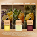 Aeshory 3-Pack Hanging Car Air Freshener, Citrus Scent Long Lasting Aroma, Unisex Car Fragrance, Premium Essential Oil Aromatherapy Diffuser, Ideal Gift Set