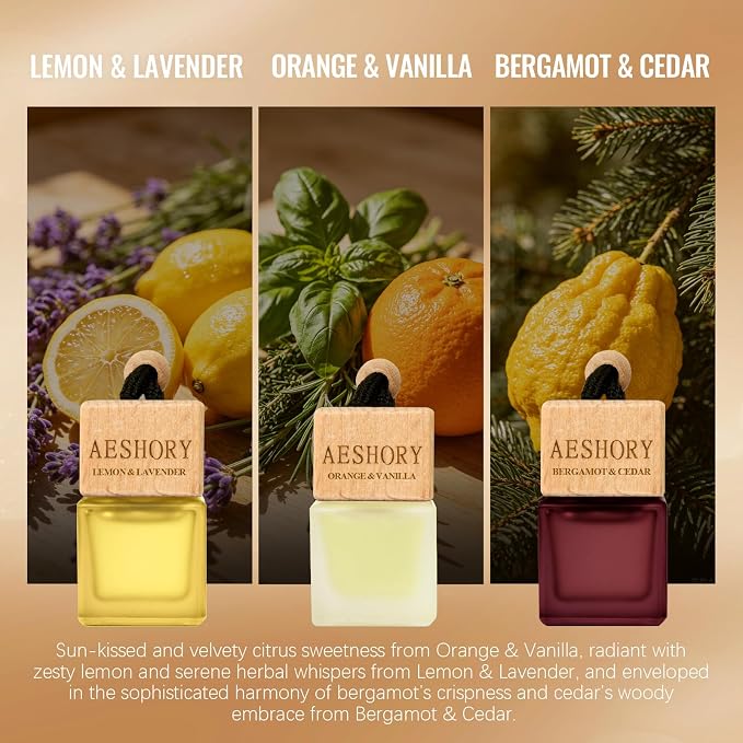 Aeshory 3-Pack Hanging Car Air Freshener, Citrus Scent Long Lasting Aroma, Unisex Car Fragrance, Premium Essential Oil Aromatherapy Diffuser, Ideal Gift Set