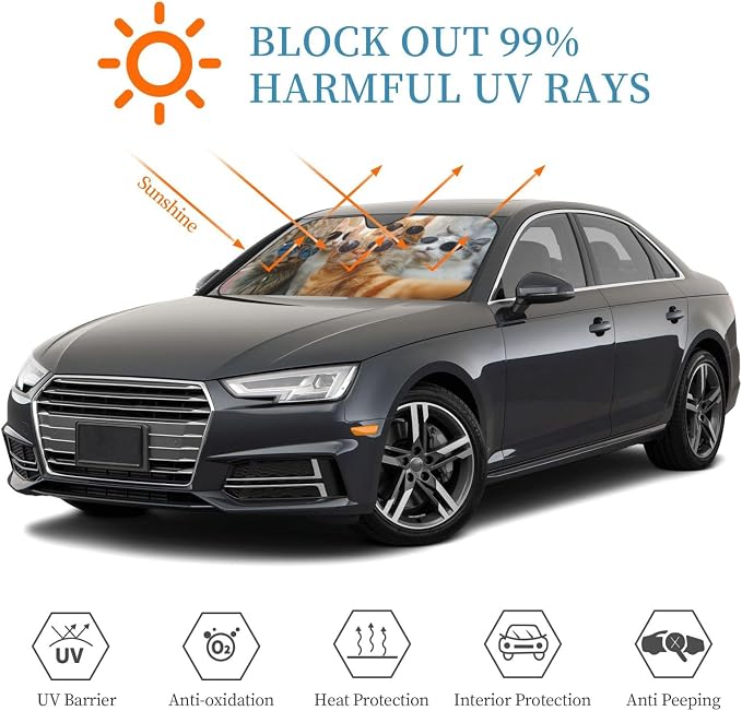 Windshield Sun Shade Funny Cat Car Front Window Sunshade Cover for Truck SUV Blocks UV Rays Automotive Visor Interior Protector 51 x 27.5 inch