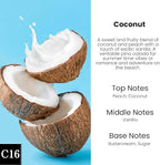 Car Air Freshener Diffuser 2 Pack Hanging Air Freshener Diffuser - Coconut Fragrance Oil Air D iffuser for Car, 45+ Days Long Lasting Fragrance Made in USA (C16)