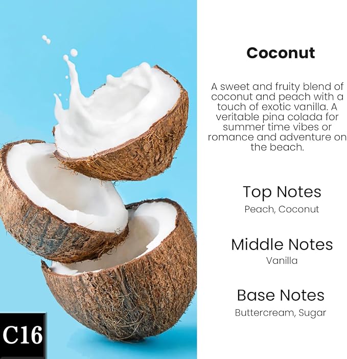 Car Air Freshener Diffuser 2 Pack Hanging Air Freshener Diffuser - Coconut Fragrance Oil Air D iffuser for Car, 45+ Days Long Lasting Fragrance Made in USA (C16)