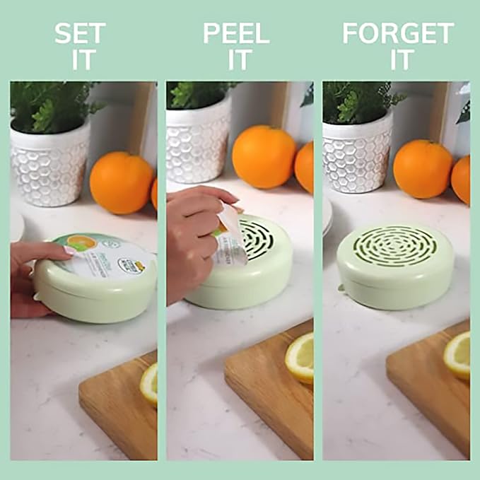 Solid Air Freshener (Pack of 4)