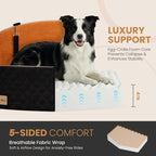 Dog Car Seat for Medium/Large Dogs, Memory Foam Dog Booster Seat with Thick Cushion up to 55 lbs or 2 Small Dogs, Travel Pet Car Seat with Detachable Washable Cover, 2 Safety Leashes (Black/Brown)