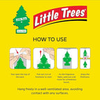 Car Air Freshener | Hanging Paper Tree for Home or Car | Rose Thorn | 6 Pack