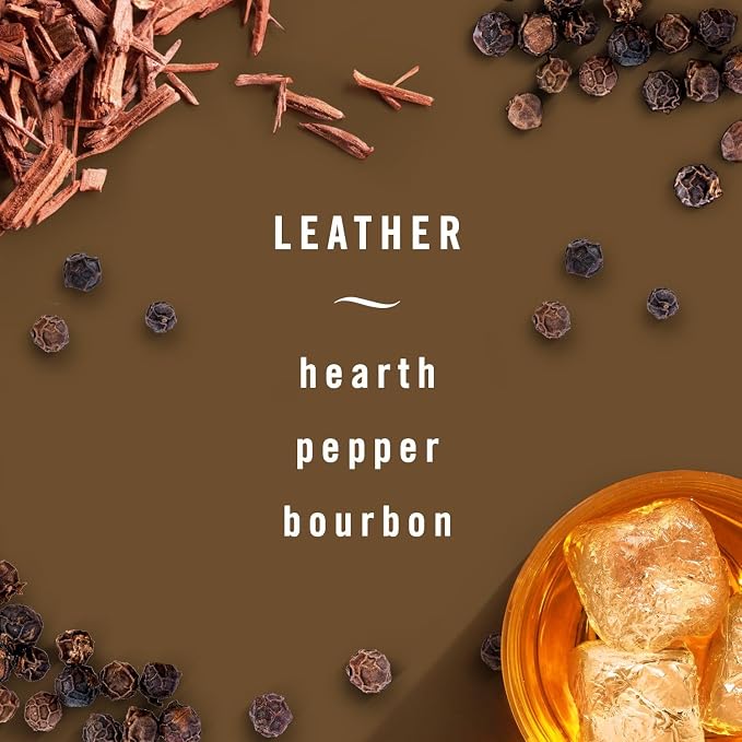 AUTO Air Freshener, Odor-Fighting Automotive Vent Clip, Scented Car Accessories, Long Lasting for Strong Odors, Leather, 2 Count