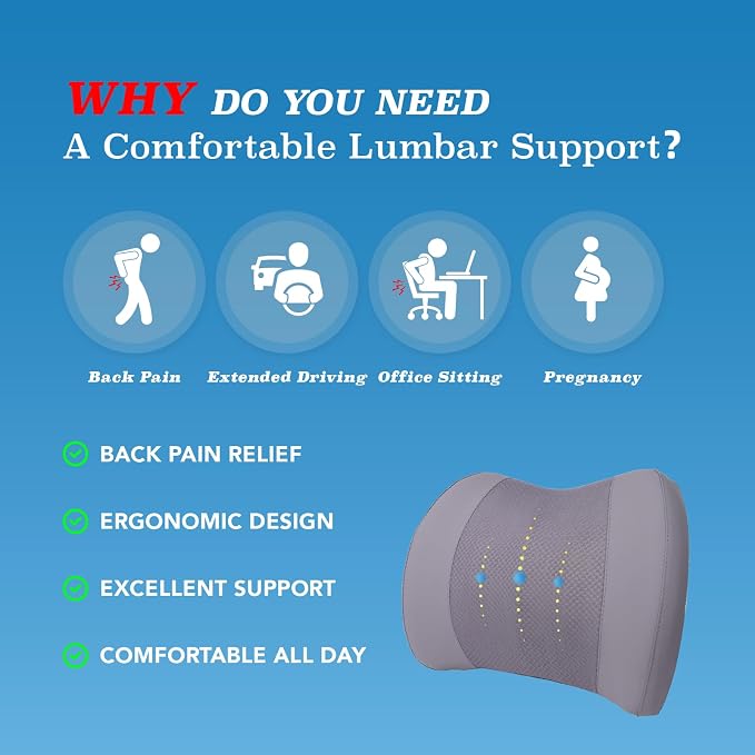 Lumbar Support Pillow for Car, Car Seat Back Support for Driving | Memory Foam Car Lumbar Support for Driving Seat, Car Back Cushion, Adjustable Straps, Lower Back Pillow, Office Chairs, Gray