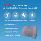 Lumbar Support Pillow for Car, Car Seat Back Support for Driving | Memory Foam Car Lumbar Support for Driving Seat, Car Back Cushion, Adjustable Straps, Lower Back Pillow, Office Chairs, Gray