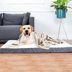 Dog Towel Super Absorbent Pet Bath Towel Microfiber Dog Drying Towel for Small, Medium, Large Dogs and Cats 30inch x 50inch 1 Pack Light-Brown