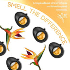 Car Air Freshener Vent Clip 3 Ct (2 Pack), Hawaii Mahalo Scent | Long-Lasting Car Odor Eliminator, Easy Clip-On, Up to 180 Days Freshness for Cars, Trucks, and SUVs, 4 mL Each