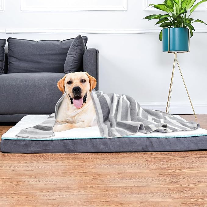 Dog Towel Super Absorbent Pet Bath Towel Microfiber Dog Drying Towel for Small, Medium, Large Dogs and Cats 30inch x 50inch 1 Pack Light-Gray