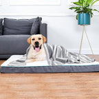 Dog Towel Super Absorbent Pet Bath Towel Microfiber Dog Drying Towel for Small, Medium, Large Dogs and Cats 30inch x 50inch 1 Pack Light-Gray