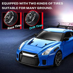 RC Drift Car, 1:24 Remote Control Car for Kids, 20KM/H 4WD High Speed RC Cars with Lights, Extra Racing Tires, Vehicle for Adults Boys Girls