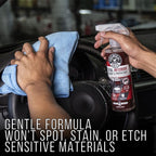 SPI22516 Total Interior Cleaner & Protectant (Safe on Dash, Leather, Vinyl, Plastics, Trim, Glass, Fabric & More), 16 Fl Oz (Pack of 2) (Black Cherry Scent)