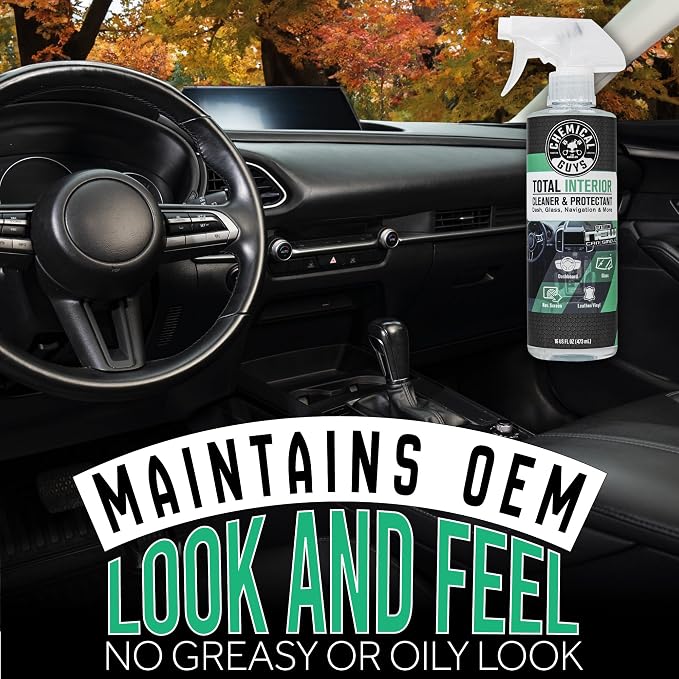 Total Interior Cleaner and Protectant for Cars, New Car Scent | Cleans and protects interior plastic, vinyl, leather, nav. screens, safe for cars, trucks, SUVs, Jeeps and RVs. 2 Pack