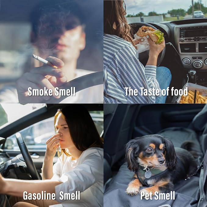 Car Air Freshener 2 Pack- The Adorable Lightbulb-Shaped - Automotive Vent Clip - Long Lasting Scent - Essential Oils - Scented Car Accessories - Ocean