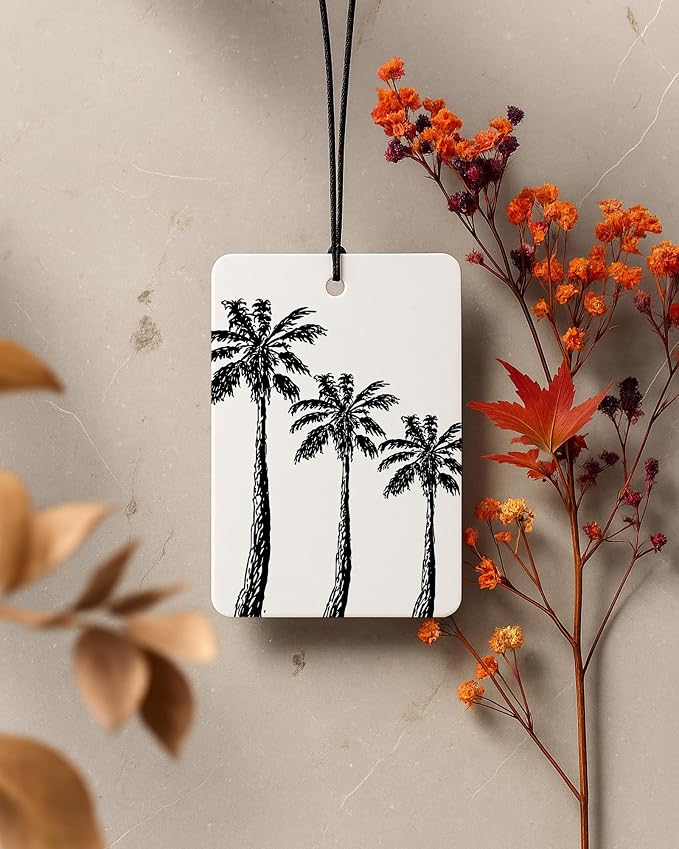 Black Coastal Summer Car Air Freshener 4 Pcs Coconut Scented, Ocean Surfboard Palm Tree Beach Car Accessories Mirror Decor for Women, Beachy Hanging Air Freshener for Cars Closet Drawer Books