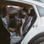 Ruffwear, Dirtbag Dog Car Seat Cover, 300D Heavy Duty Waterproof Scratch Proof Nonslip Hammock or Bench, Durable Machine Washable, Back Seat Protector for Cars, SUVs & Trucks, Basalt Gray