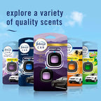 Car Mountain Scent Air Freshener Vent Clip,.07 oz, 2 Count