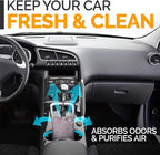 Activated Charcoal Odor Absorber for Strong Odors in Car, Closet, Shoe, Basement. 10 Activated Charcoal Bags Odor Absorbers for Home. Bamboo Charcoals Air Purifying Bag Charcoals Deodorizer Eliminator