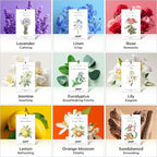 12 Packs Eucalyptus Mint Scented Sachets for Drawer and Closet, Long-Lasting Closet Sachet Bags Drawer Deodorizers Fresh Scents, Home Fragrance Air Freshener