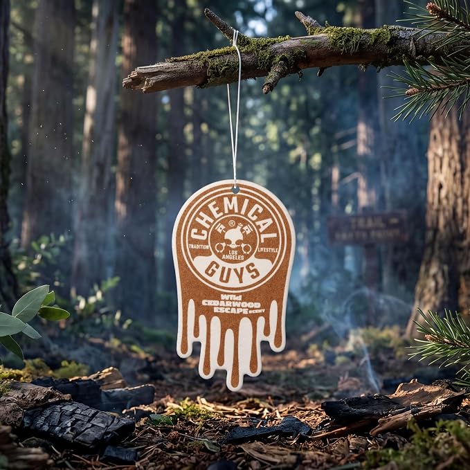 Hanging Car Air Freshener 12-Pack, Wild Cedarwood Escape Warm, Woody & Earthy Cedarwood Fragrance, Rearview Mirror Paper Fresheners for Cars, Trucks, SUVs & Boats