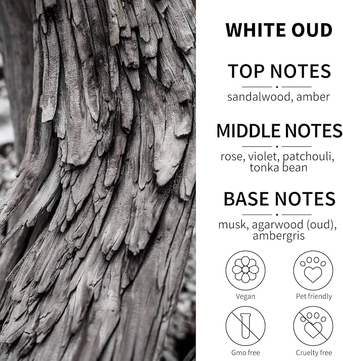 2-Pack Car Fresheners Long Lasting & Car Deodorizer - White Oud Hanging Car Air Freshener for Men and Women, Car Necessities & Scent Diffuser by