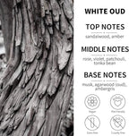 2-Pack Car Fresheners Long Lasting & Car Deodorizer - White Oud Hanging Car Air Freshener for Men and Women, Car Necessities & Scent Diffuser by