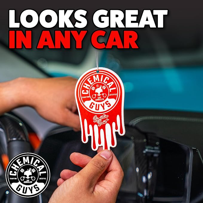 Car Fresheners, Hanging Air Fresheners - Signature Scent for Cars, Trucks, SUVs, RVs, Home, Office, Work, Dorm Room, & More - 12 Pack