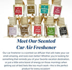 C&E Craft Co Hanging Car Air Freshener Diffuser 2 Pack, Long Lasting Fragrance Oil Car Freshener, Glass Bottle Auto Air Freshener, Made in USA (Morning Coffee)