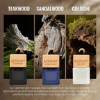 Aeshory 3 Pack Car Air Freshener Hanging, Wood Fragrance with Sandalwood, Teakwood & Cologne, Long Lasting Scent for 60 Days, Men Car Diffuser, 8ML/0.27 FL OZ