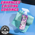 Synthetic Quick Detailer – High Gloss Quick Detailer Spray, Safe for Cars, Trucks, SUVs, Motorcycles and RVs, Remove Dust, Fingerprints & Smudges, Enhances Shine & Protection, 16 fl oz