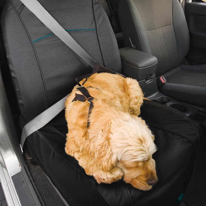 Rover Bucket Seat Cover - Waterproof Dog Backseat Cover - Adjustable Strap Seat Cover - Scratch Resistant Protector - Front Seat Guard - Large Storage Pocket