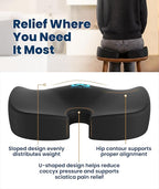 Doctor Recommended Memory Foam Seat Cushion for Office Chairs & Car - Ergonomic Office Desk Accessories - Cushions for Tailbone Pain Relief, Sciatica (Black, Large)