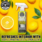 Foaming Citrus Fabric Clean Carpet & Upholstery Cleaner, Ready to Use, Sprayable (for Carpets, Seats & Floor Mats), Safe for Cars, Home, Office, & More, 2-16 fl oz, Citrus Scent