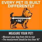 K&H Buckle N Go Dog Car Seat for Small Dogs, Waterproof Fabric, Breathable Mesh Sides, Adjustable Seatbelt Leash, Pet Car Seat for Small Pets- 16 X 14 X 14in