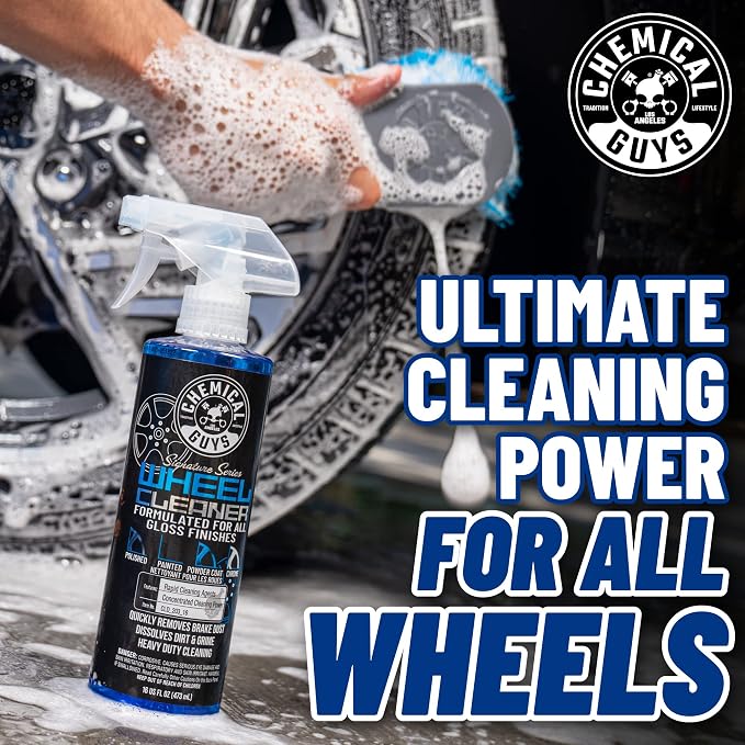 Starter Car Care & Cleaning Kit, 7-Piece Detailing Car Wash Kit with 6 Premium 16 oz Care Chemicals and Accessories for Washing, Waxing, and Interior Cleaning