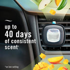 Car Air Freshener Vent Clip Multipack Mango Splash Scent, Long Lasting Smell Fighter for Strong Odors Car Clip Automotive Vent Air Freshener 4 Count