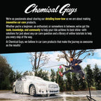 Bug and Tar Remover Fast Acting Car Wash - Heavy Duty Cleaner for Bugs, Tar, Grime, Tree Sap & Bird Droppings - Safe for Car Paint, Glass, Chrome, Plastic, All Exterior Surfaces - 16 oz