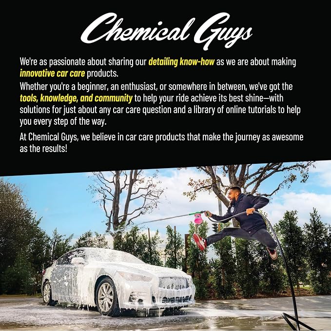 Bug & Tar Wash Heavy Duty Bug, Tar, Grime, Tree Sap & Bird Dropping Remover - Safe for Paint, Glass, Chrome, Plastic & All Exterior Surfaces (64 oz) CWS_104_64